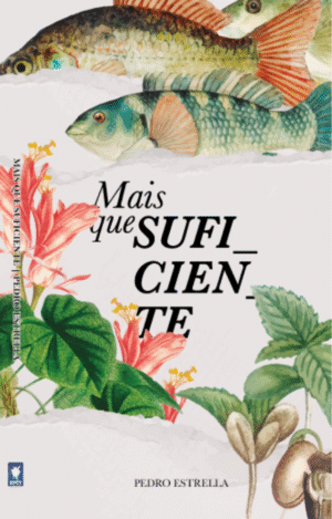 MAIS QUE SUFICIENTE