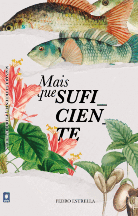 MAIS QUE SUFICIENTE