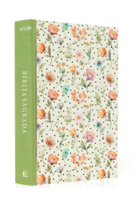 BIBLIA SAGRADA | NVI | LETRA NORMAL | ILUSTRADA CAPA DURA RECORDAÇÕES
